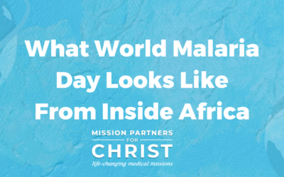 What World Malaria Day Looks Like From Inside Africa